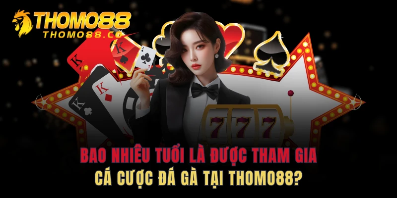 Bao nhiêu tuổi là được tham gia cá cược đá gà tại THOMO88?