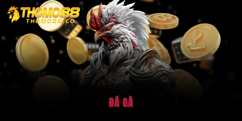 Đá Gà