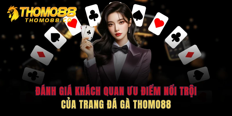 Đánh giá khách quan ưu điểm nổi trội của trang đá gà THOMO88